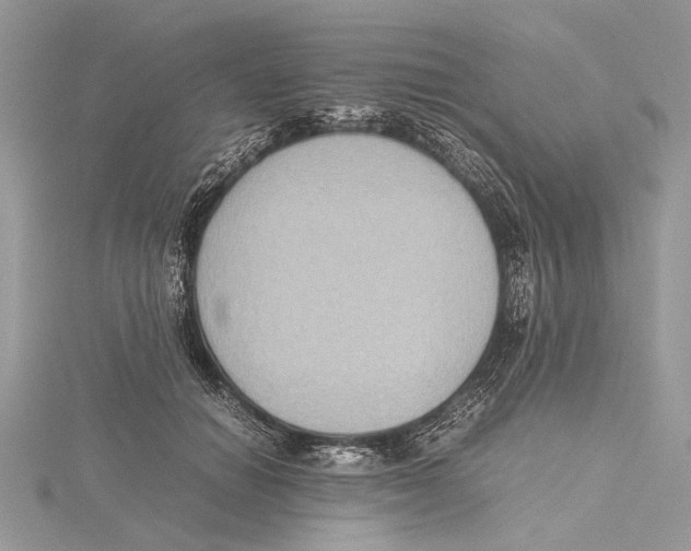 X0000115440654200912020946