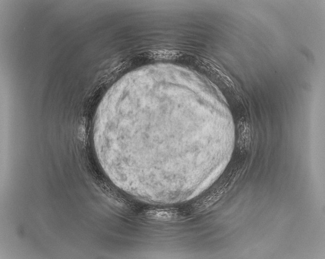 X0000115440655200912020946