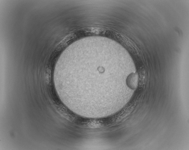 X0000115440656200912020946