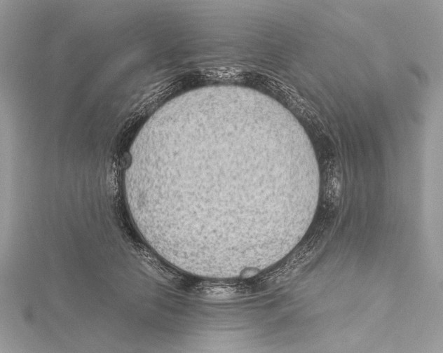 X0000115440658200912020946