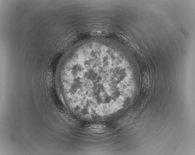 X0000115440659200912020946