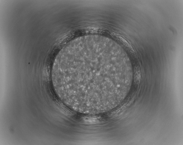 X0000115440661200912020946