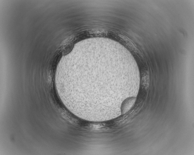 X0000115440662200912020946