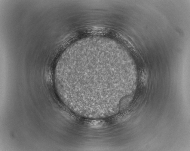 X0000115440663200912020946