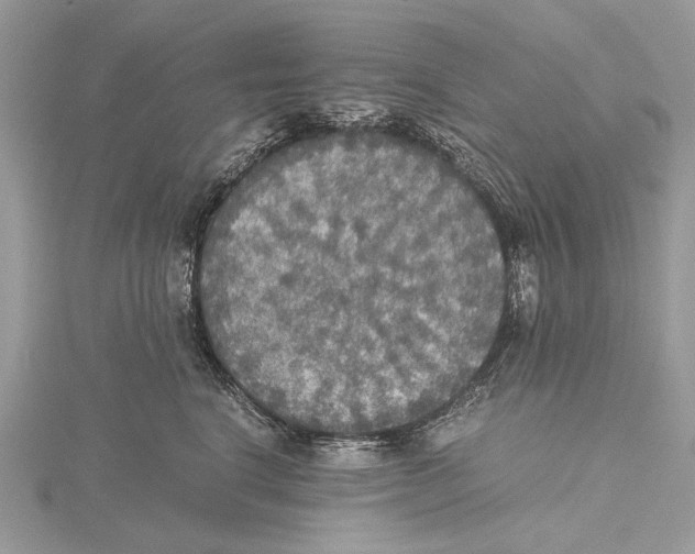 X0000115440664200912020946