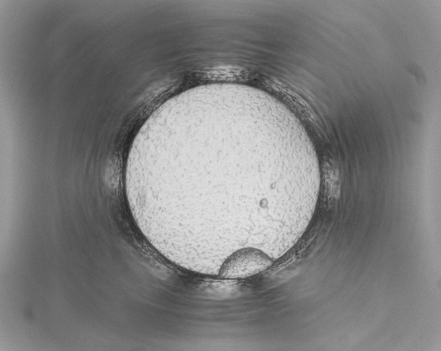 X0000115440665200912020946