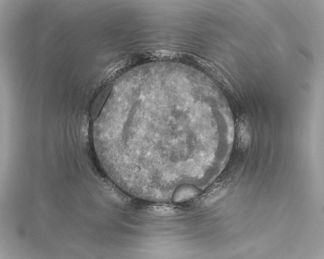 X0000115440668200912020946