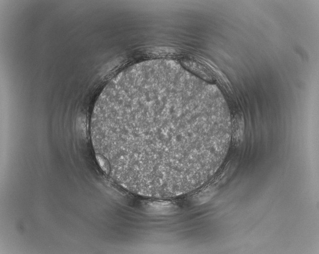 X0000115440669200912020946