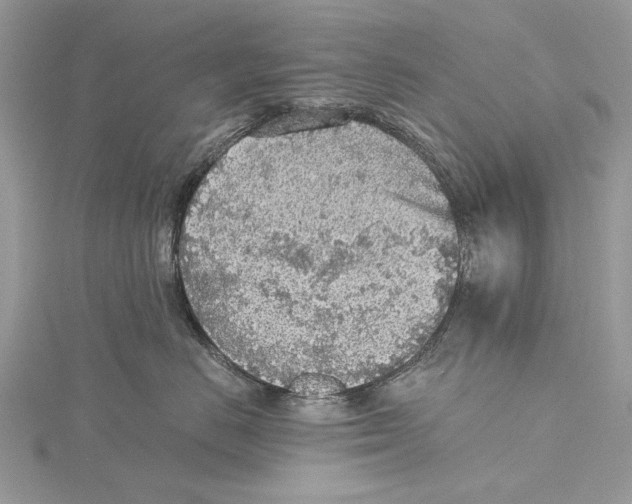 X0000115440670200912020946