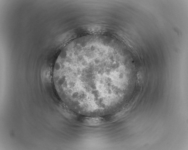 X0000115440671200912020946