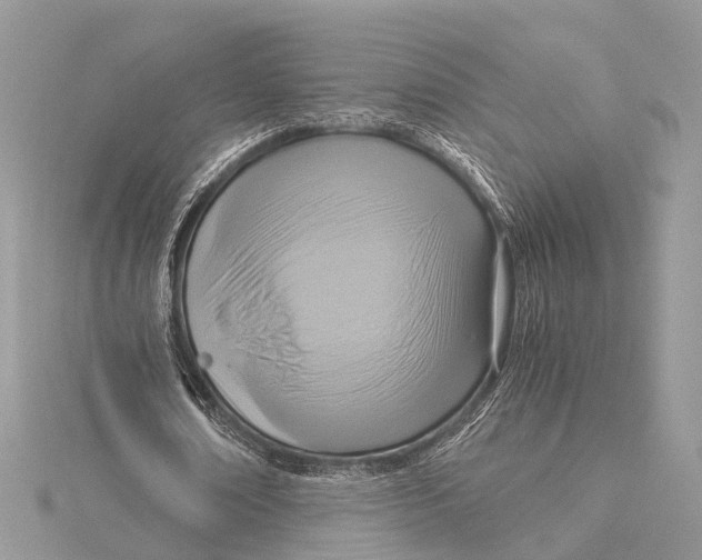 X0000115440674200912020945