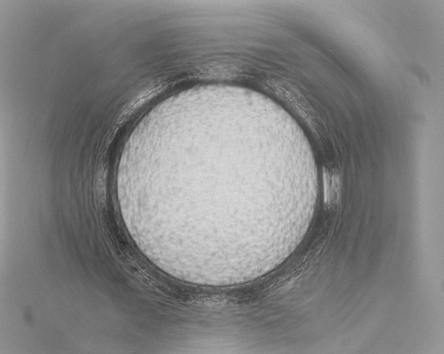 X0000115440675200912020945