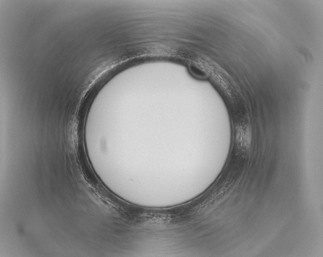 X0000115440676200912020945