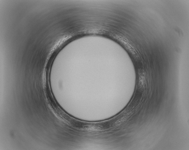 X0000115440678200912020945