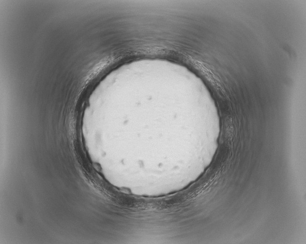 X0000115440679200912020945