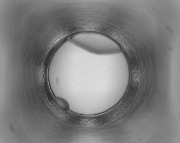 X0000115440680200912020945