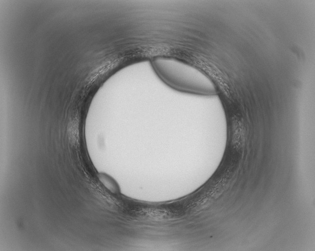 X0000115440681200912020945