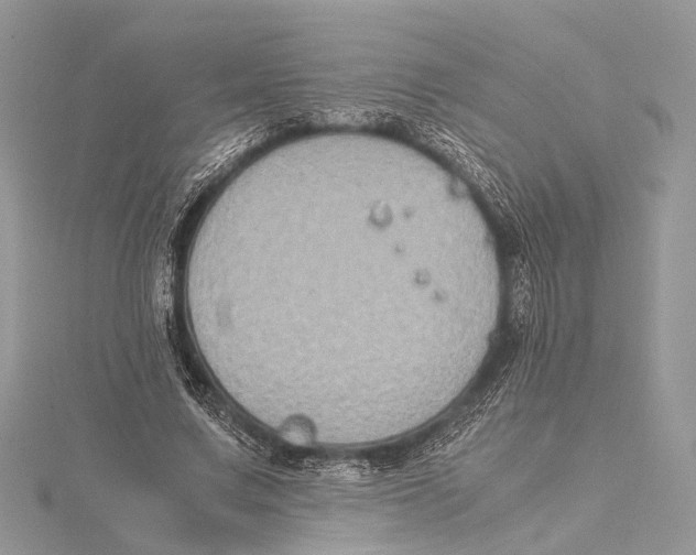 X0000115440683200912020945