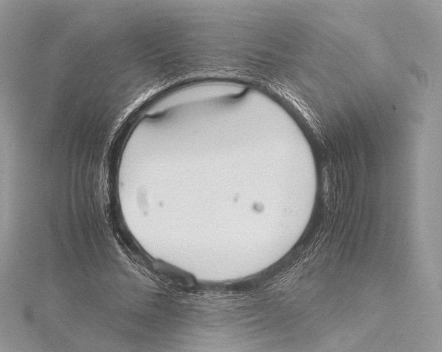 X0000115440684200912020945