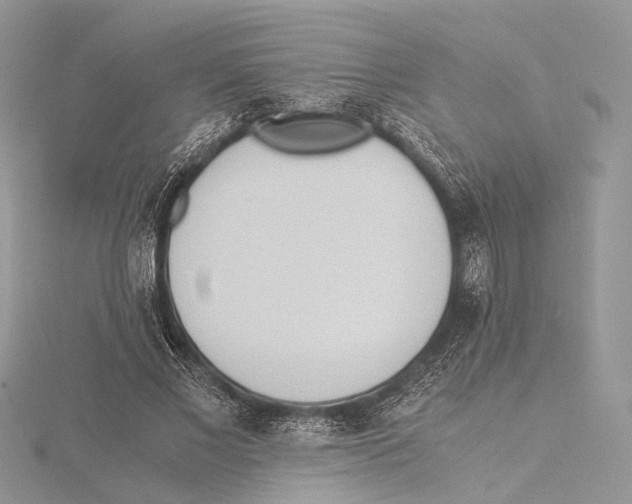 X0000115440685200912020945