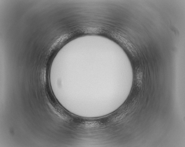 X0000115440686200912020945