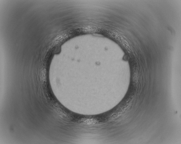 X0000115440689200912020945