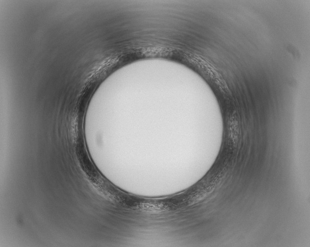 X0000115440690200912020945