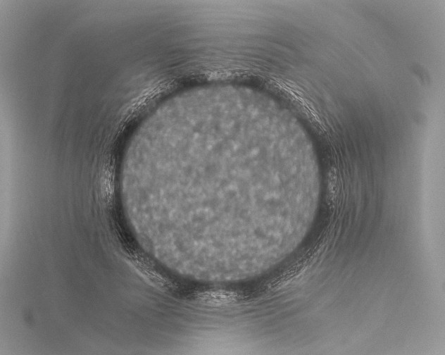 X0000115440691200912020945