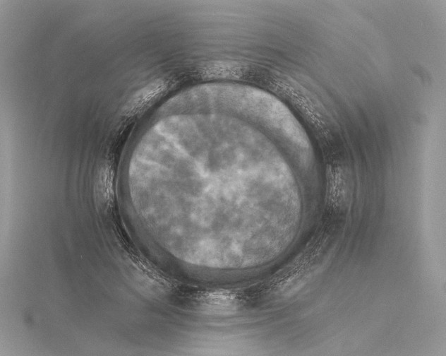 X0000115440692200912020945