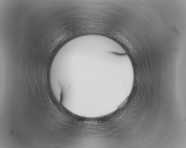 X0000115440693200912020945