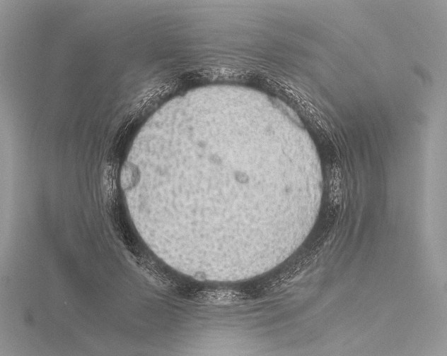 X0000115440695200912020945