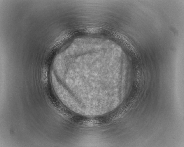 X0000115440696200912020945