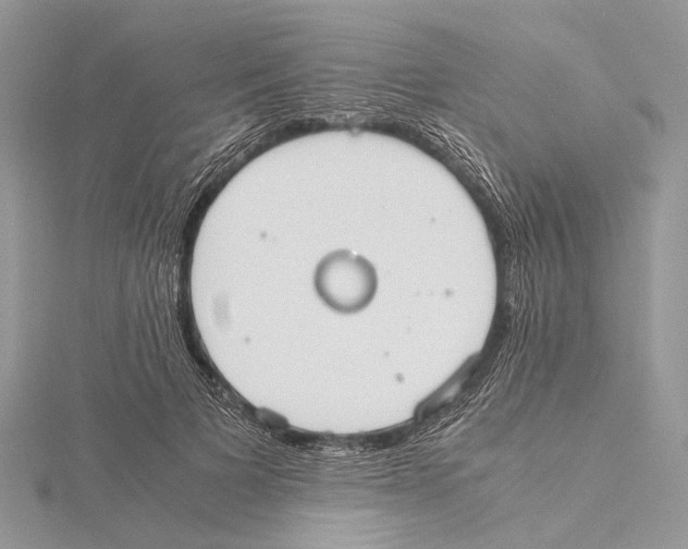 X0000115440697200912020945