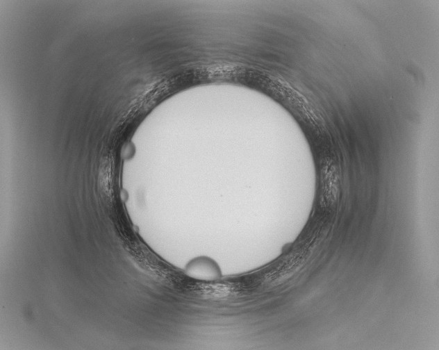 X0000115440698200912020945