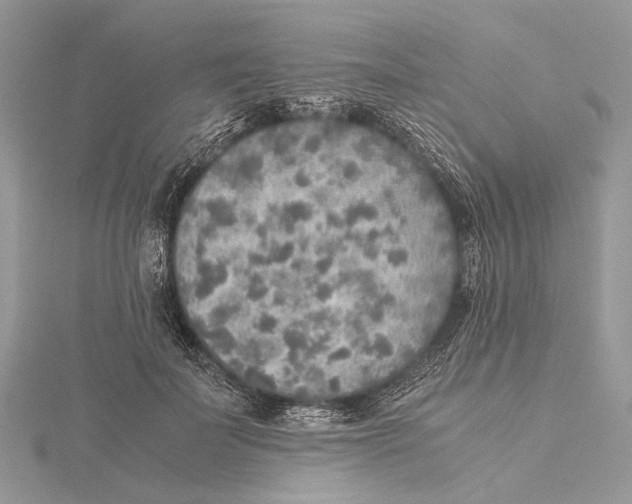 X0000115440699200912020945