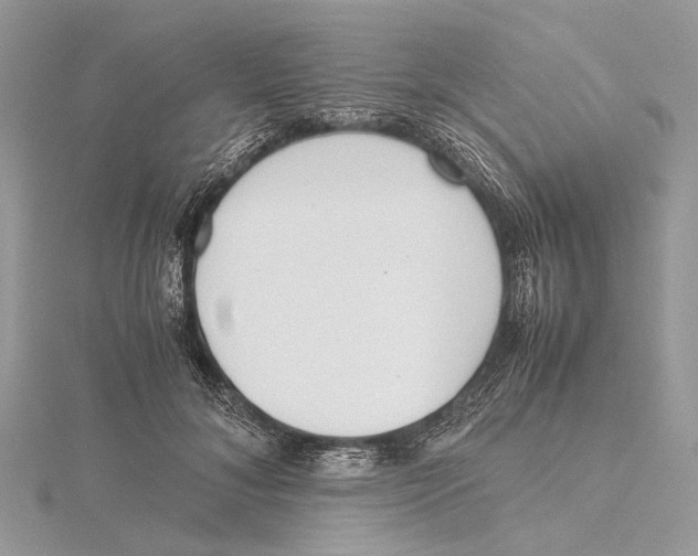 X0000115440700200912020945