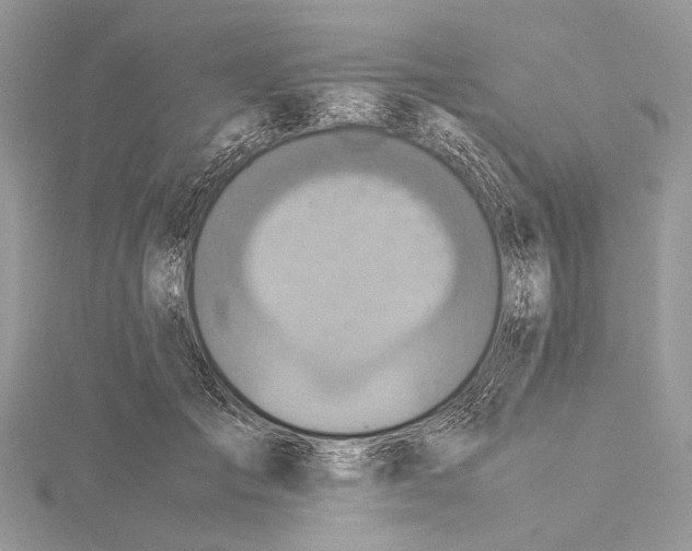 X0000115440701200912020945