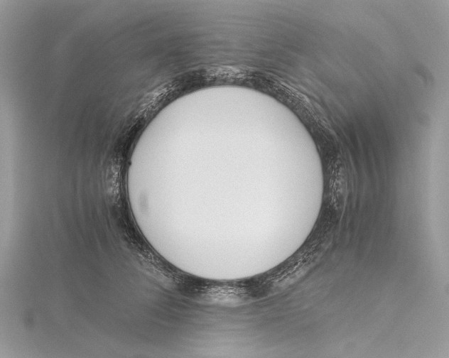 X0000115440708200912020945