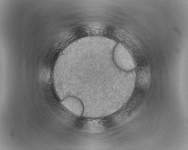 X0000115440709200912020945