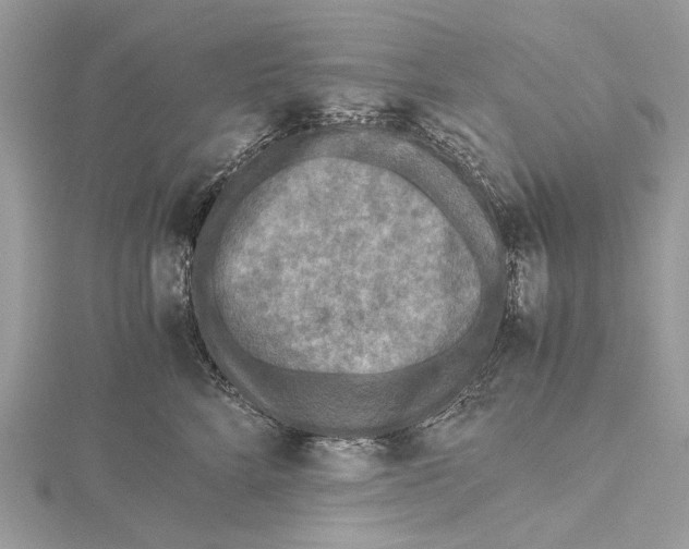 X0000115440712200912020945