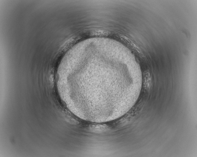 X0000115440716200912020945