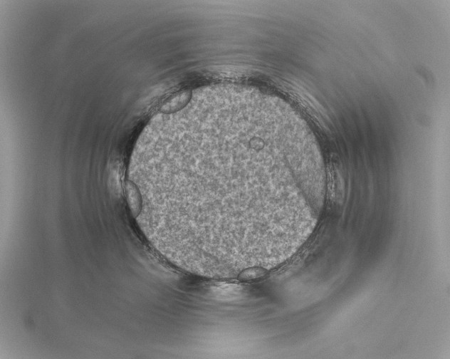 X0000115440718200912020945