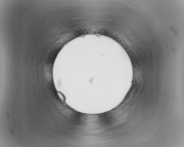 X0000115440719200912020945