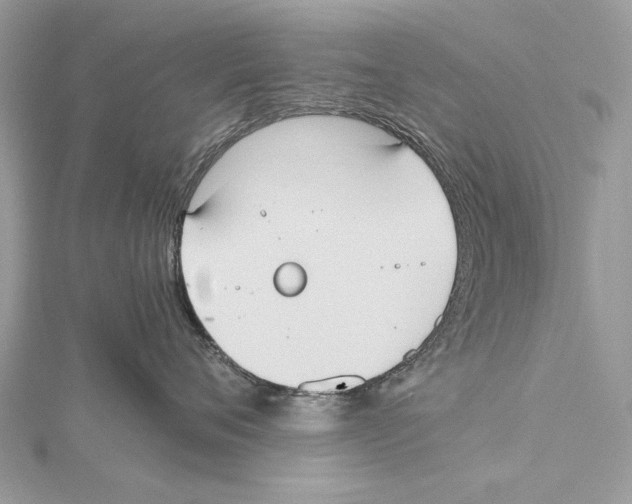 X0000115440720200912020945