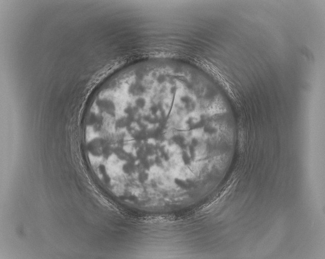 X0000115440721200912020944