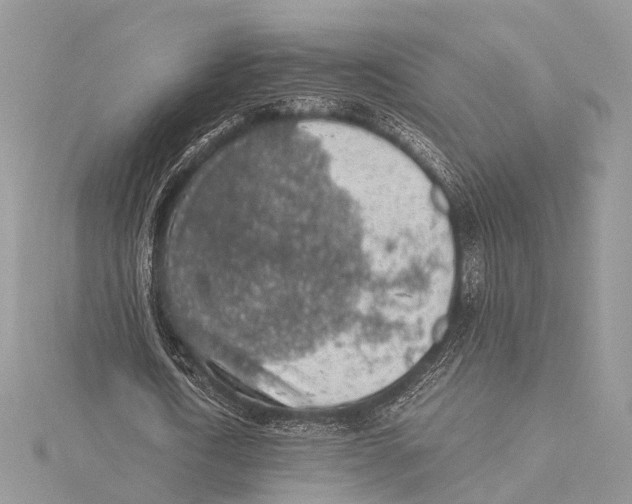 X0000115440722200912020944