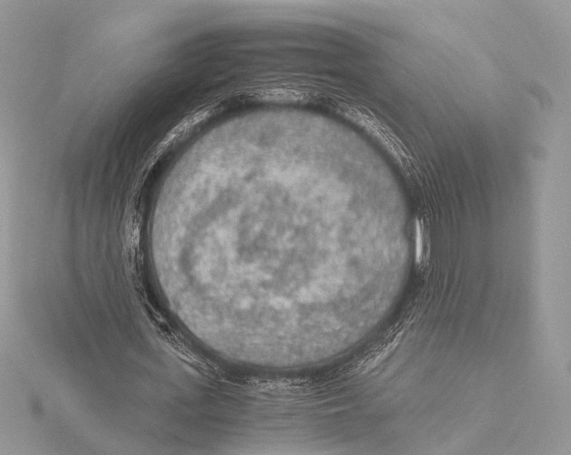 X0000115440723200912020944