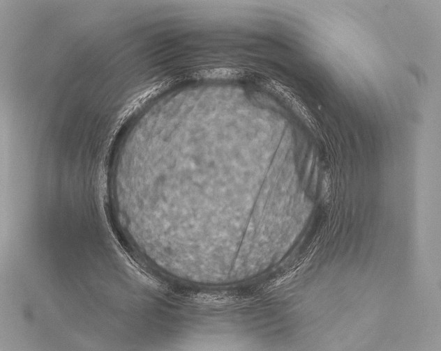 X0000115440725200912020944