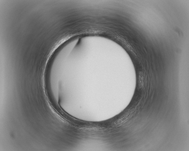 X0000115440726200912020944