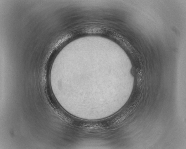 X0000115440727200912020944